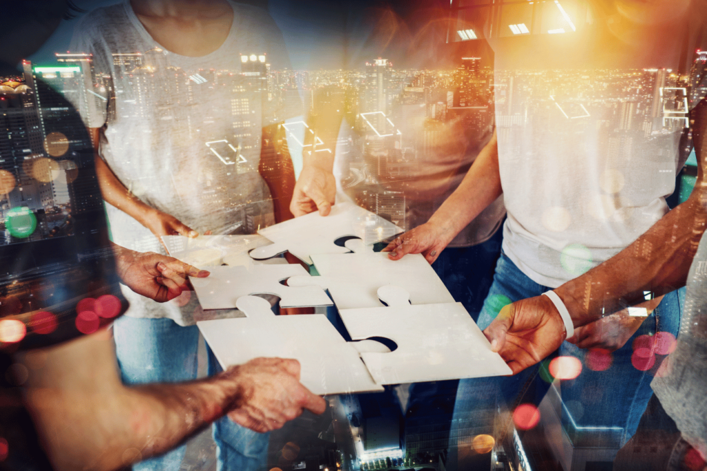 Start-up Co-Founder Search